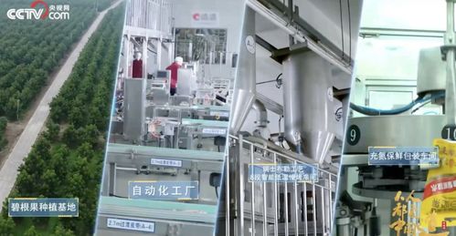 洽洽食品2022年三季度凈利潤(rùn)達(dá)6.27億元，同比增長(zhǎng)5.45%，技術(shù)服務(wù)成新增長(zhǎng)點(diǎn)