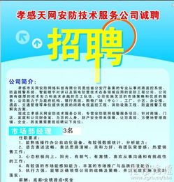 孝感天網(wǎng)安防技術(shù)服務(wù)公司誠(chéng)聘技術(shù)服務(wù)精英